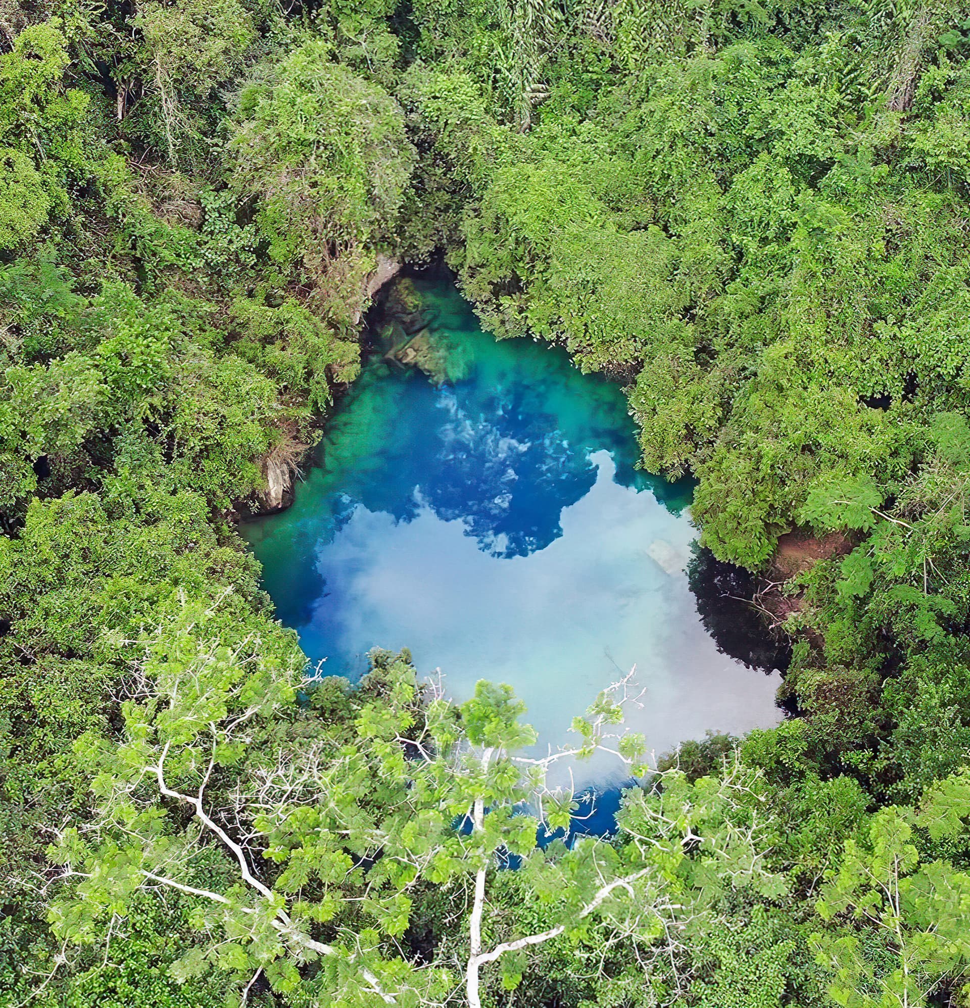 Aventuras en cenotes y grutas cerca de Veracruz, Veracruz